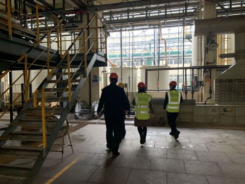 與安全同行，讓安全常駐 寶曼咨詢協助華友鈷業開展現場EHS管理現狀調研