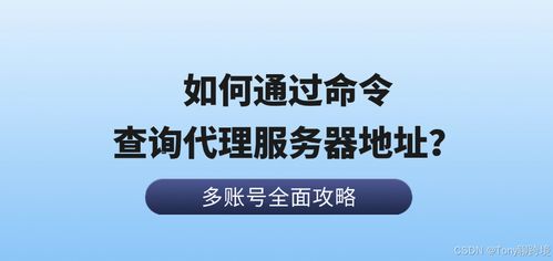 如何通過(guò)命令查詢(xún)代理服務(wù)器地址 以票務(wù)代理服務(wù)為例